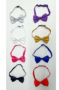 ����� ����- ���� �����